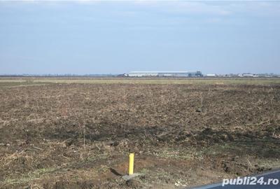 Teren de 20000 mp, în Afumați - 2