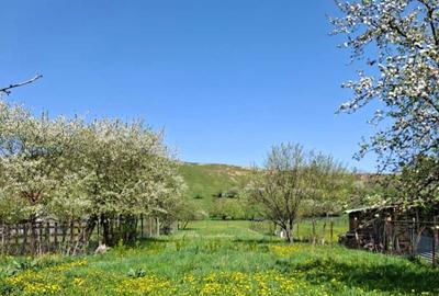 Casă cu 3 camere în Central - 3