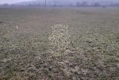 Teren agricol extravilan de 1698 mp, în Dumitrița - 4