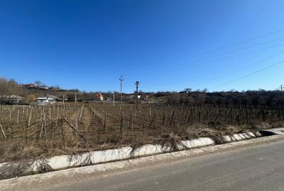 Teren intravilan de 2700 mp, în Movilița - 2