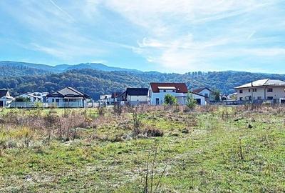 Intrare in Rasnov dinspre Brasov, zona de case noi, teren de 1976mp,  80 euro/mp - 8