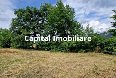 Teren Baia Sprie: 5143 mp, Parcelabil, Comision 0! - 3