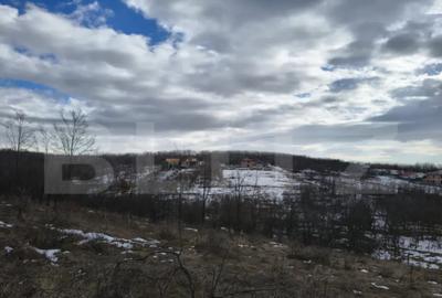 Teren în Păulești - 5