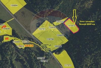 Teren Construcții intravilan de 4003 mp, în Babarunca - 4