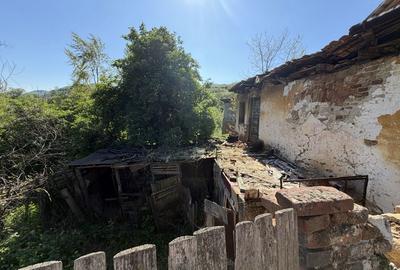 Teren de 227 mp, în Topleț - 5