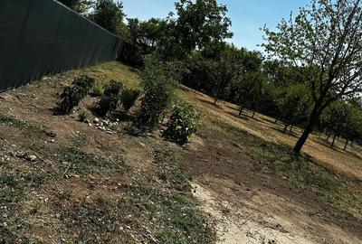 Propietar vand Casa Vadu Anei Branesti 1480 m2 , Gaze , Curent , Put , fosa centrala - 2