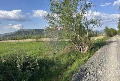 Teren 4,824mp Baia Mare / Strada Sebesului - 3