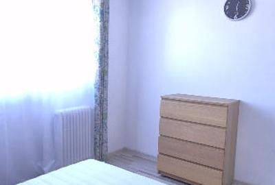 Apartament cu 2 camere semidecomandat în Domenii - 10