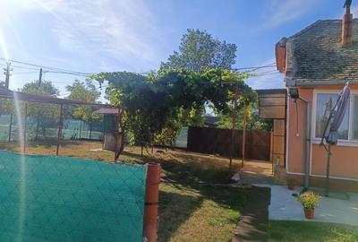 Vand sau schimb cu apartament casa caramida+ vaiuga + teren pentru casa in com. Livezile jud.Timi?. - 2