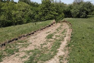 Teren Extravilan Cacica 1600mp - 6