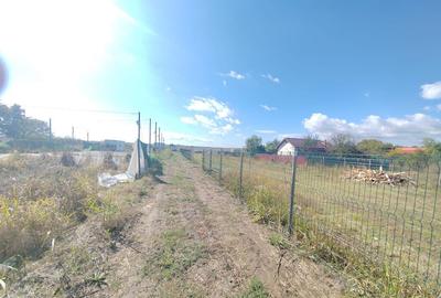 Gagu Dascalu teren ideal pentru investitie zona in dezvol... - 12