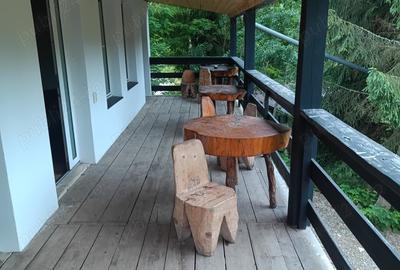 Cabana Colibi?a pe malul lacului Cabana Colibi?a pe malul lacului - 2