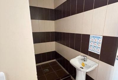 Casa 5 camere Sannicolau Mic - 14