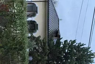 Casă în Mușcel - 10