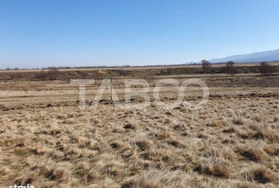 Spațiu comercial, în Dejani - 1