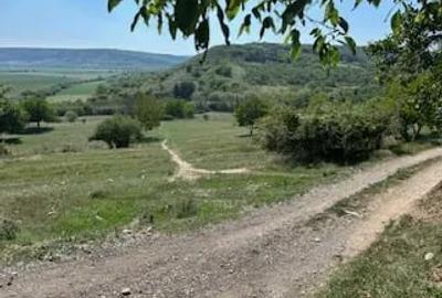 Teren de 3300 mp, în Central - 5