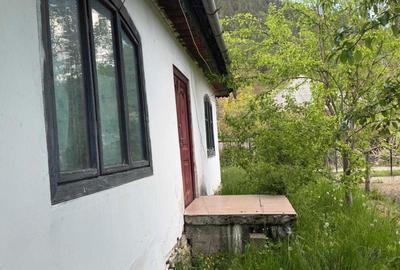 Casă cu 4 camere în Poiana Largului - 8