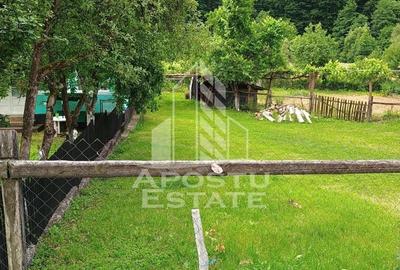 Casa bătrânească de vânzare | 4 camere | Hunedoara | Micănești - 41