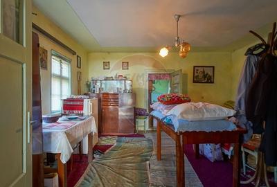 Teren intravilan 7.255 mp +casă rustică – ideal pensiune în Vama Buzău - 12