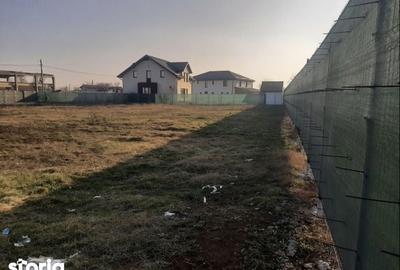 Teren de 2500 mp, în Mogoșoaia - 4