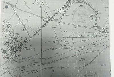 Teren de 8900 mp, în Ciolpani - 3