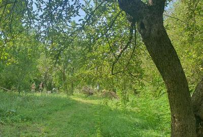 Teren de 4000 mp, în Izvoarele - 3
