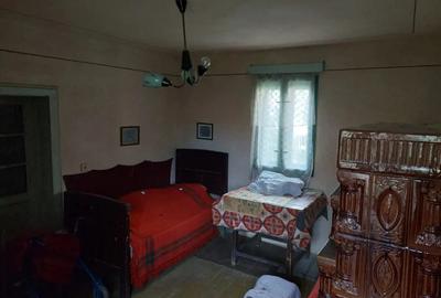 Casa de vanzare in Ludus - 5