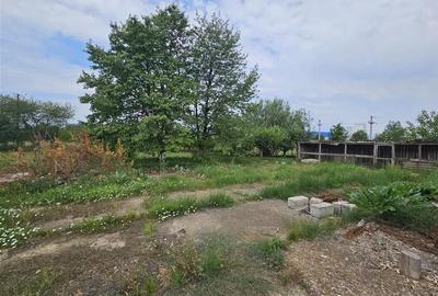 TEREN DE VANZARE INTRAVILAN IN ZONA INDUSTRIALA 10000 mp Onesti - 7