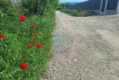 Teren intravilan de vanzare Bartolomeu  Brasov - 1