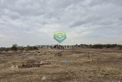 Oportunitate - Teren Chitila - 13.700 mp - pretabil pentru hale - 6