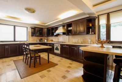 Vila superba in Snagov langa padure - 11