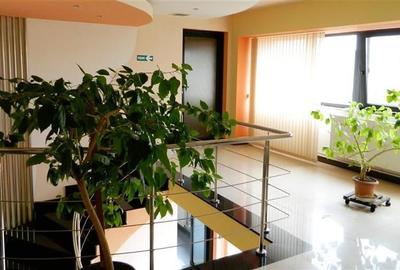 Hala industriala, 1600 mp cu teren 6500 mp , Timisoara Nord Vest - 11