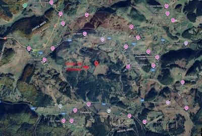O fereastra catre cer - teren de vis in Fundata, la poalele Bucegilor - 26