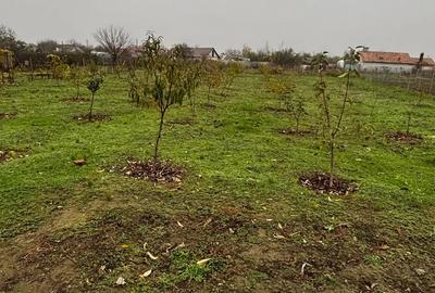 Casa de vanzare Osica de Sus - 2