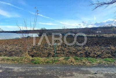 Teren intravilan 1687 mp pentru cabana zona de gradini Cisnadie - 4