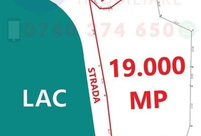 Teren de 19000 mp, în Murighiol - 2