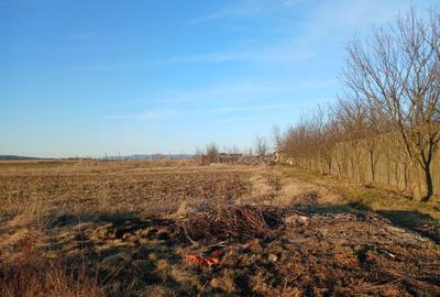 Teren Construcții intravilan de 12300 mp, în Podu Oltului - 1