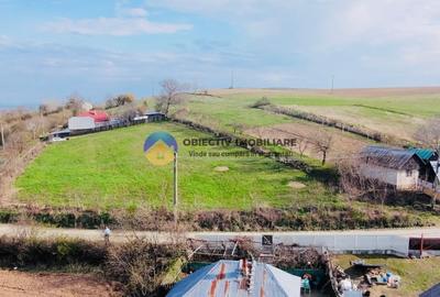 Teren Construcții intravilan de 2879 mp, în Dobreni - 4