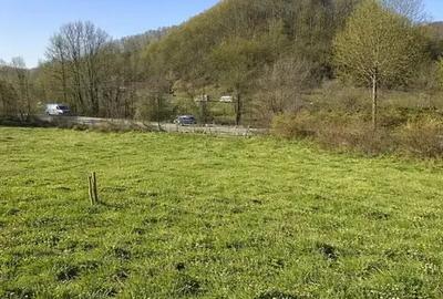 Teren intravilan de 2212 mp, în Vișinești - 3