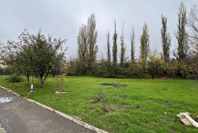 1176 mp | Teren liber | Ideal locuinta | Zona pazita |Pret Promotional - 6