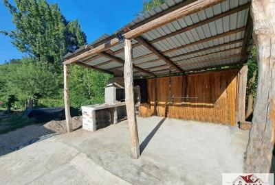 Vanzare casa cu 19.549 mp teren in Vintu de Jos - Valea Vintului - 8