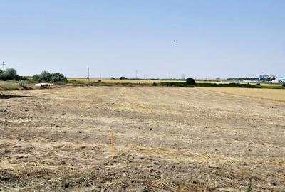 Teren Construcții intravilan de 5000 mp, în Ovidiu - 4