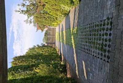 Casa cu lac in comuna Acas jud Saru Mare - 7