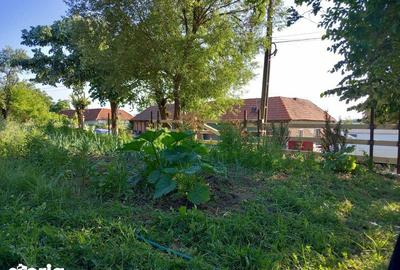 Teren de 5754 mp, în Ohaba Lungă - 6