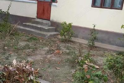 Casă cu 5 camere în Jiana - 5