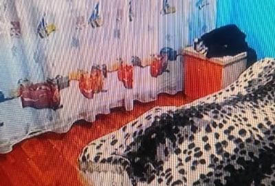 Apartament cu 2 camere decomandat în Radu Negru - 1