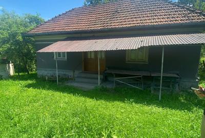 Casă cu 2 camere în Vața de Jos - 1