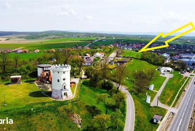 Teren de 12180 mp, în Burdea - 5