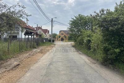 Teren de 3700 mp, în Valea Borcutului - 3
