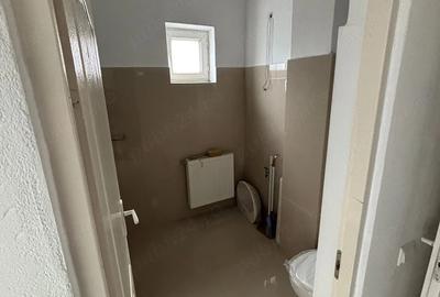 Apartament cu 5 camere nedecomandat în Pianu - 9